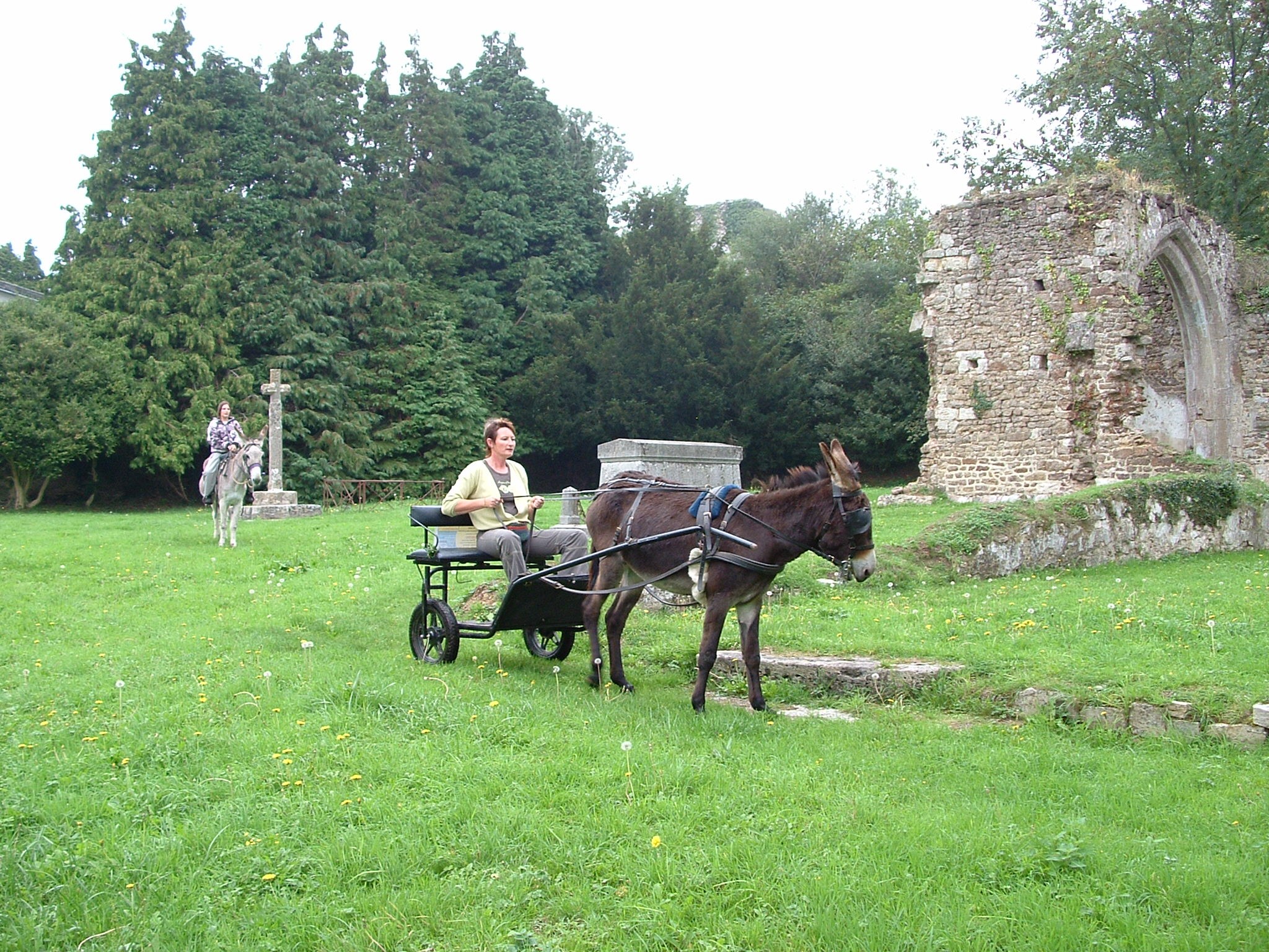  Promenade monté libre Mont Castre journée