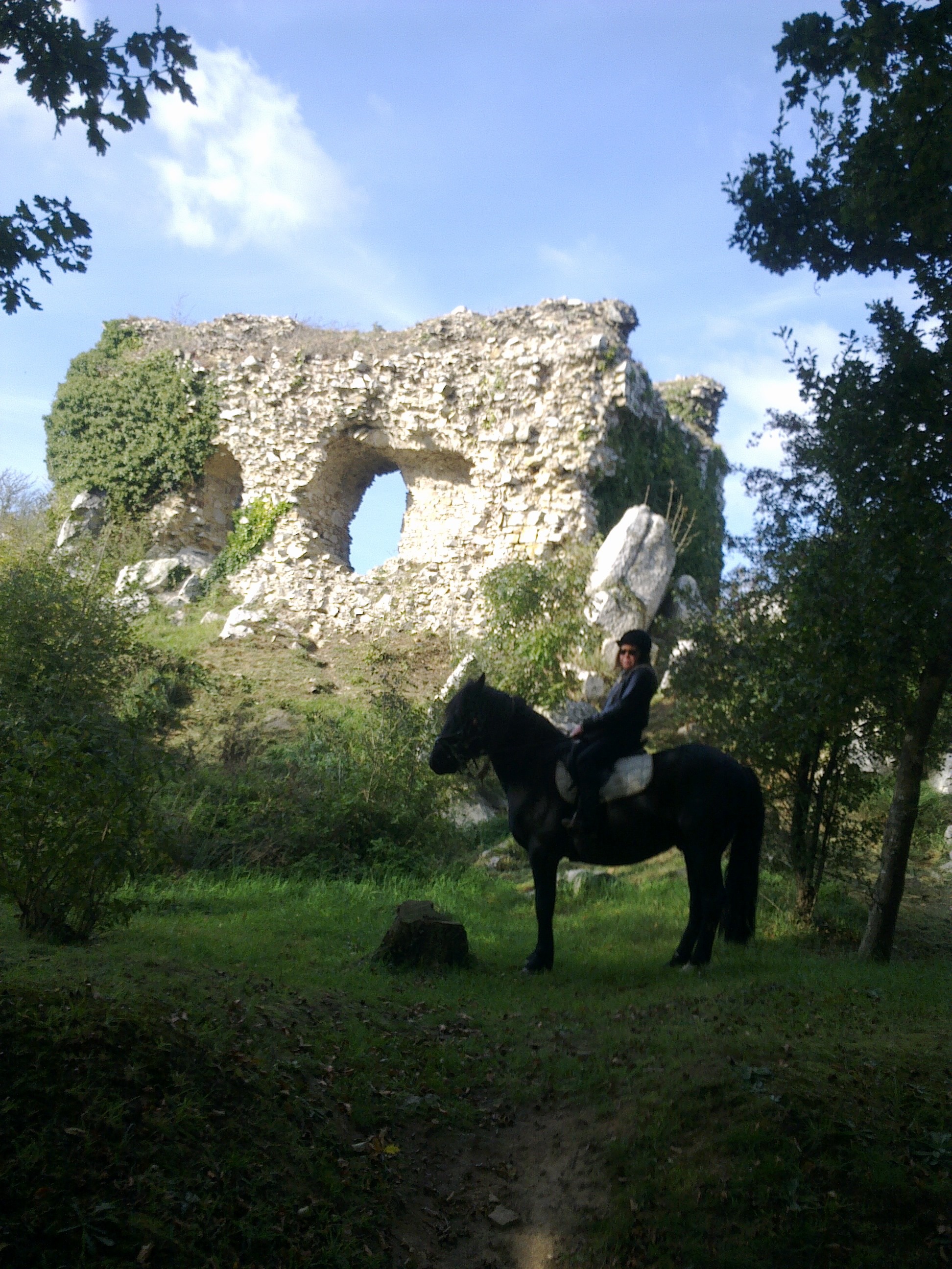   chateau gallo romain