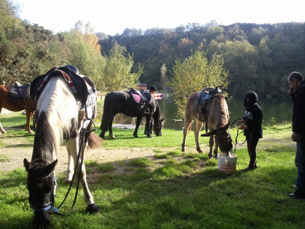 promenade equestre montée Mont castre