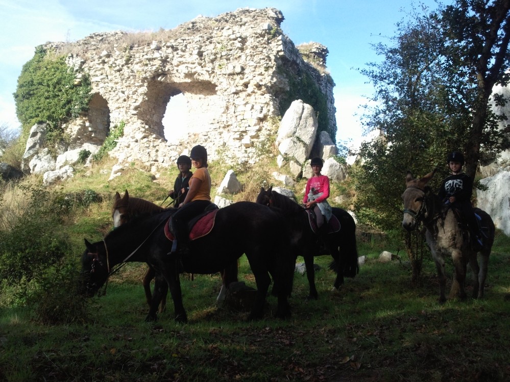 promenade equestre montée Mont castre