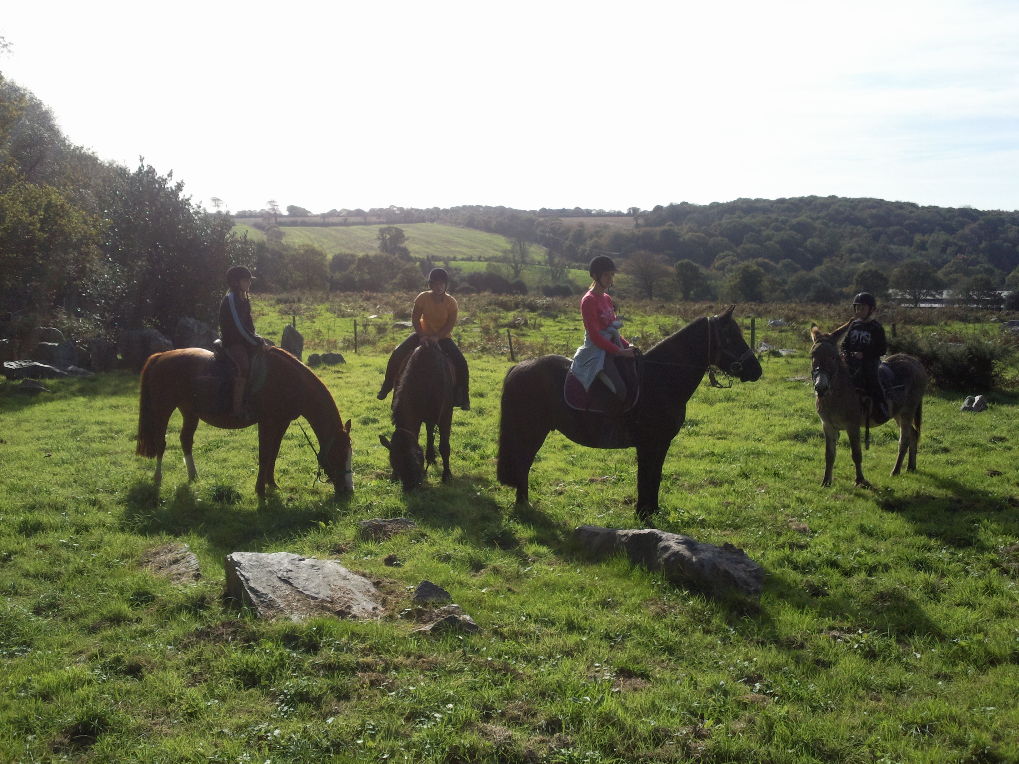 promenade equestre montée Mont castre