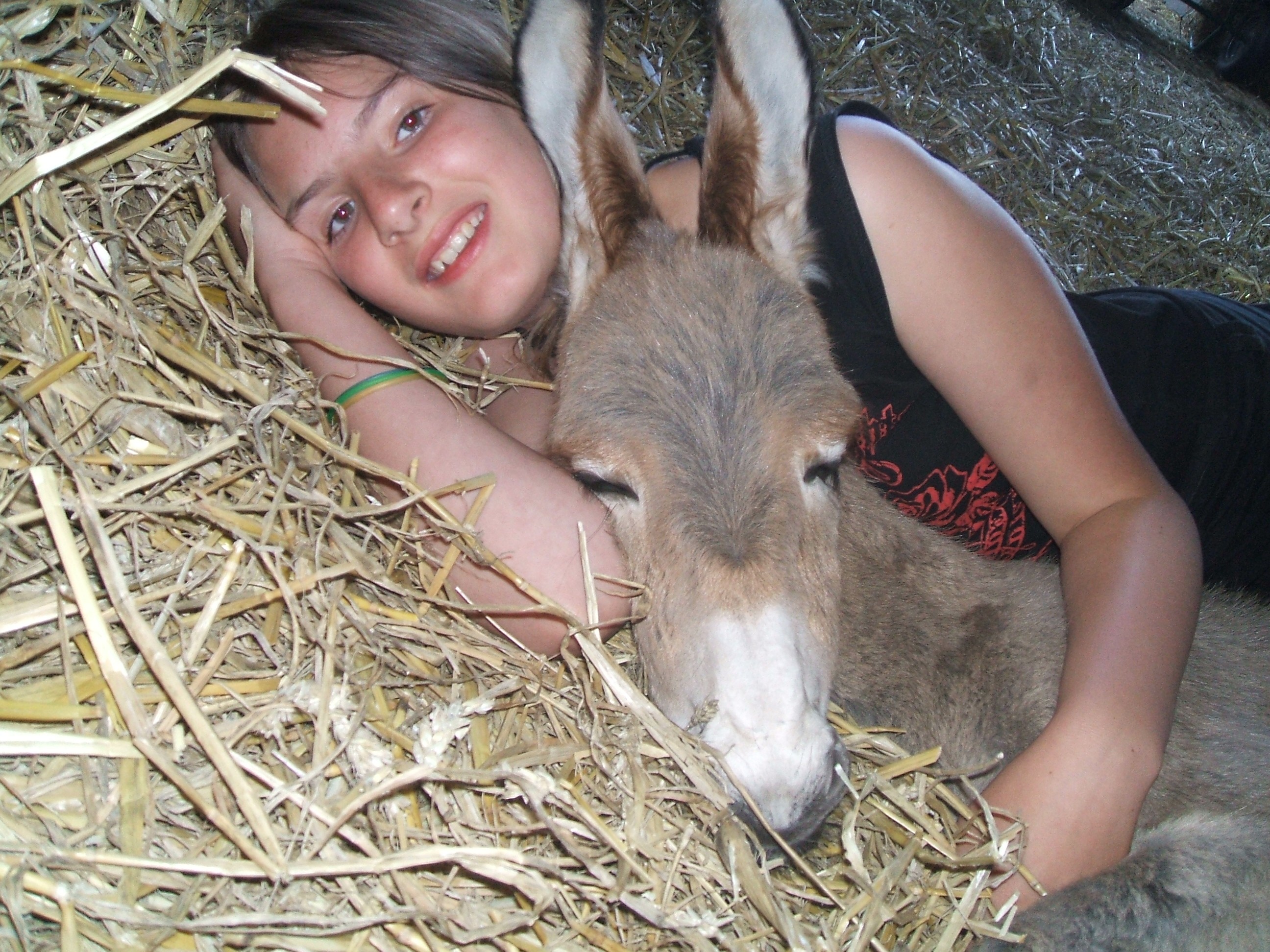 petit calin avec notre ânon Cotentin