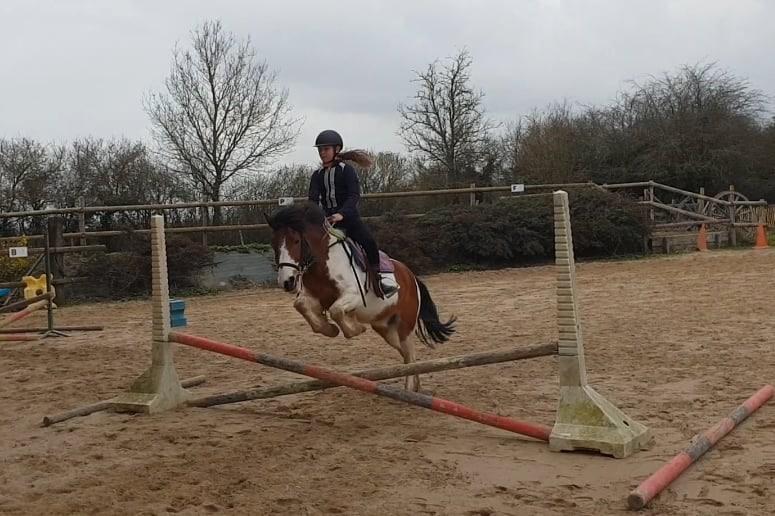 stages équitation