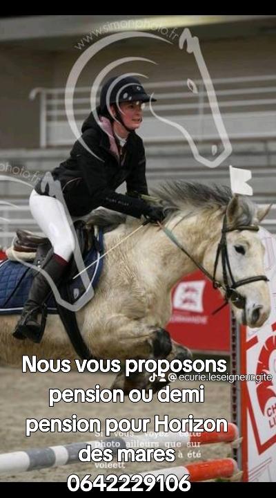 A VENDRE HORIZON DES MARES PAR POP STAR DES NOUETTE