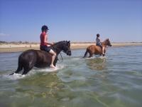 promenade mer uniquement mini camp particuliers confirmés