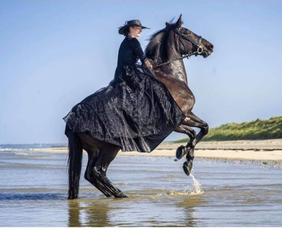 ECURIE LESEIGNEUR,   Chevaux et ânes, Camping** Insolite , Gîte.