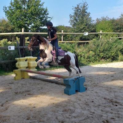 Stages /cours équitation