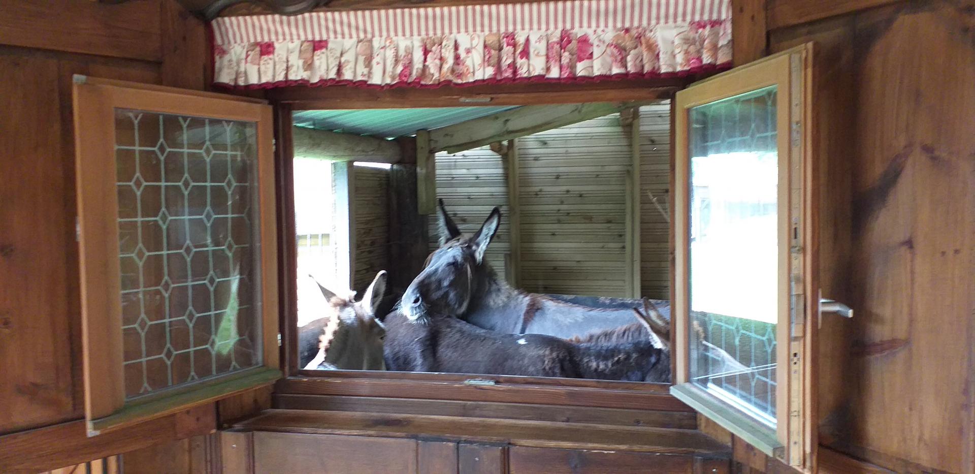 Dormez avec votre cheval avec le boxe dans le chateau