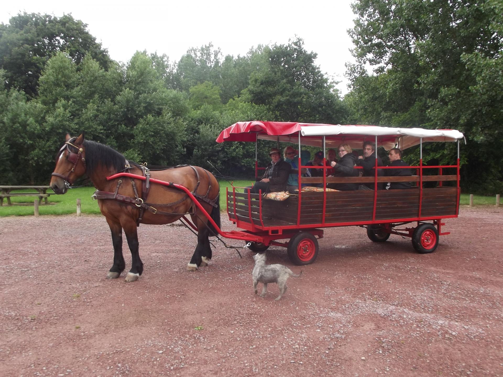 chariot bâché 20 personnes