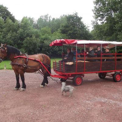 chariot bâché 20 personnes