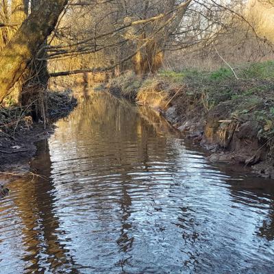 Notre rivère pour un moment de détente , de pêche