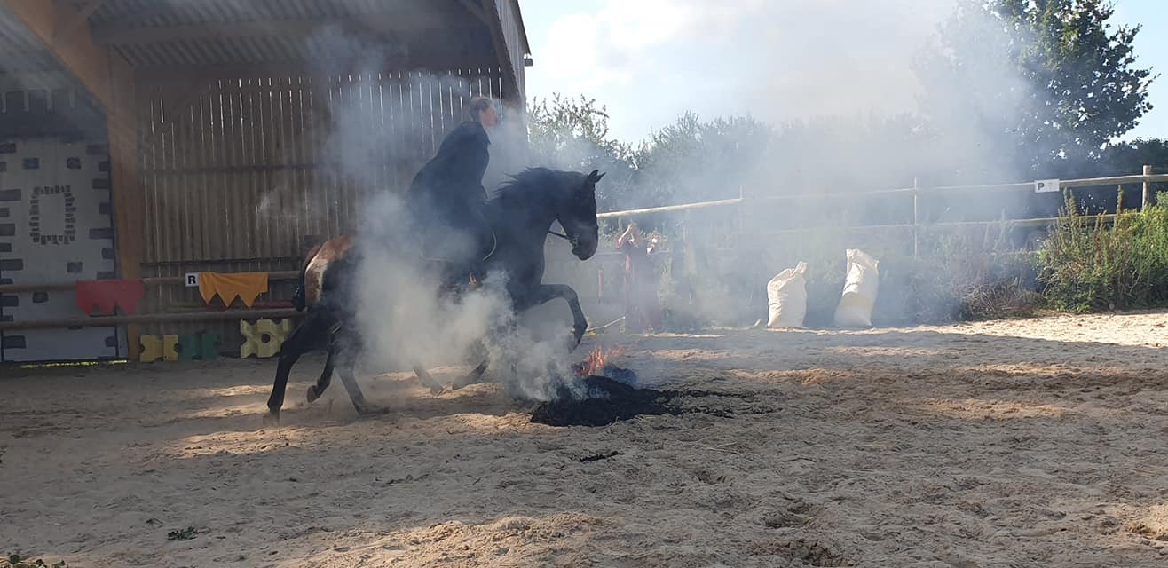 Traverse le feu