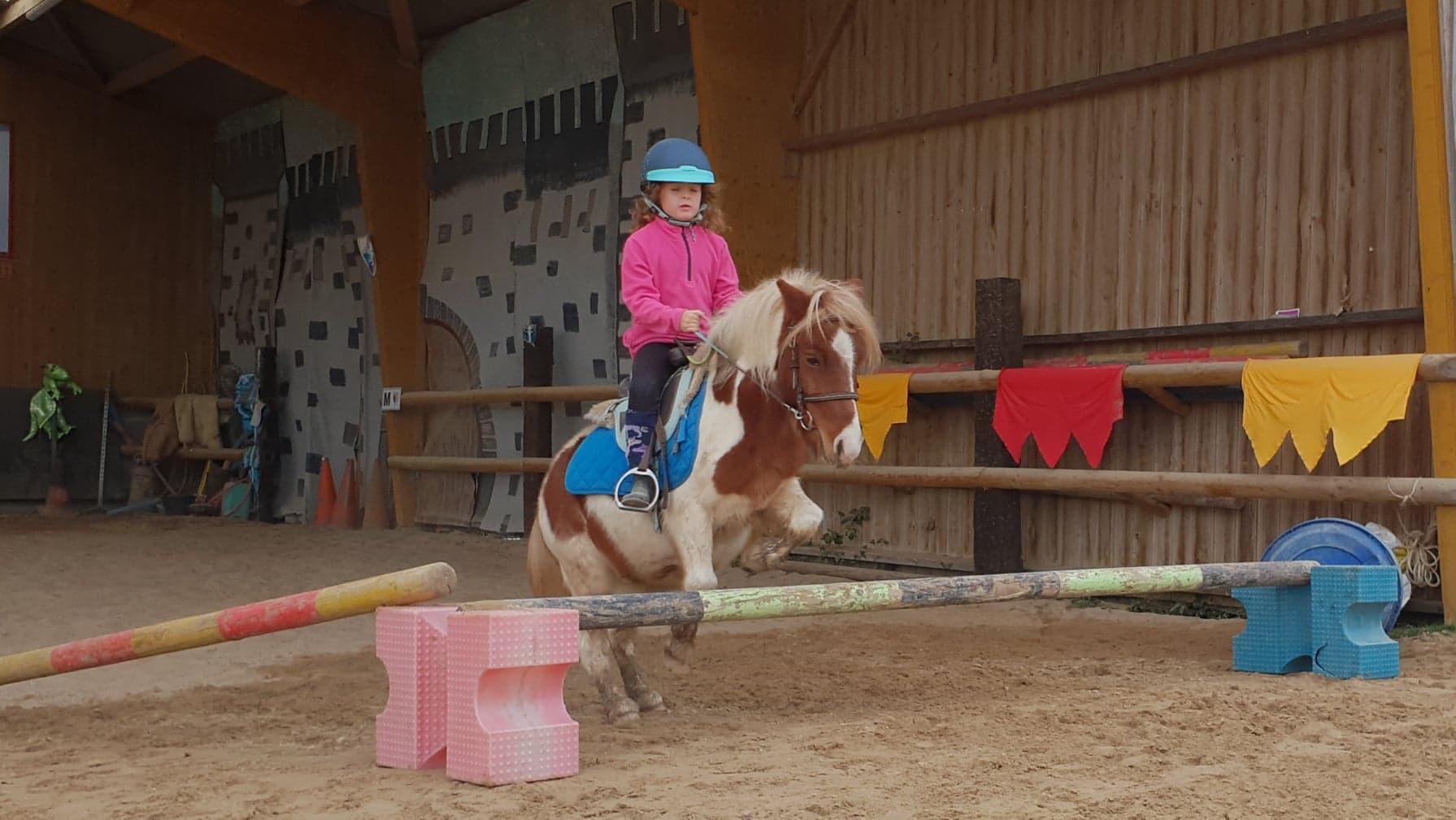 Cours / stages équitation traditionnel