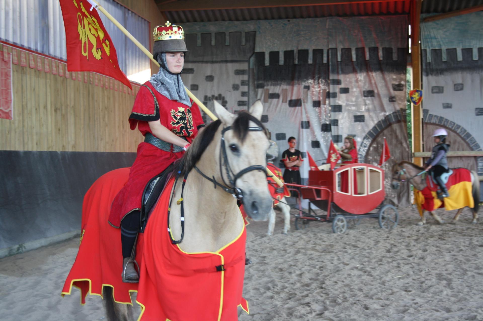 chevalier drapeaux a cheval avec son carapaçon