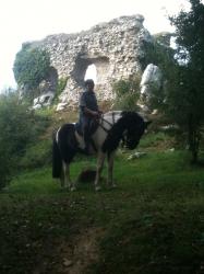 mont-castr.jpg