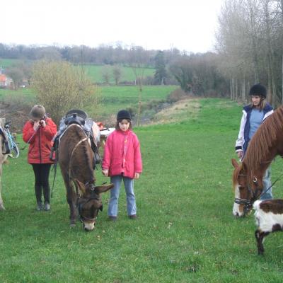 PROMENADE 1H A CHEVAL MONTE