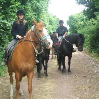 Perroquet enft mercredi 028