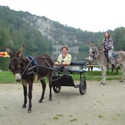 Promenade en libre sur les voies verte anes  attelés et poneys montés