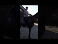 ecurie leseigneur passage dans le feu avec chevaux